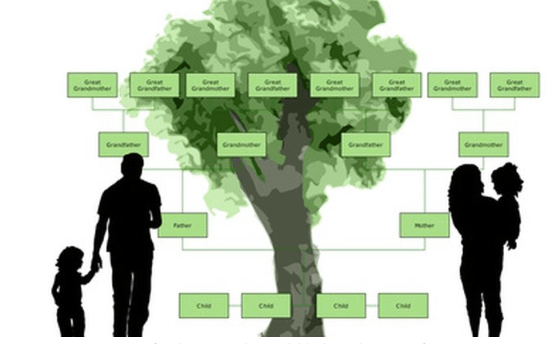 Working on a family tree will help avoid a nursing home